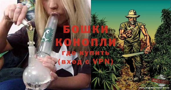 PSILOCYBIN Медногорск