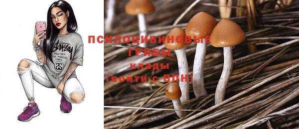 винт Медвежьегорск