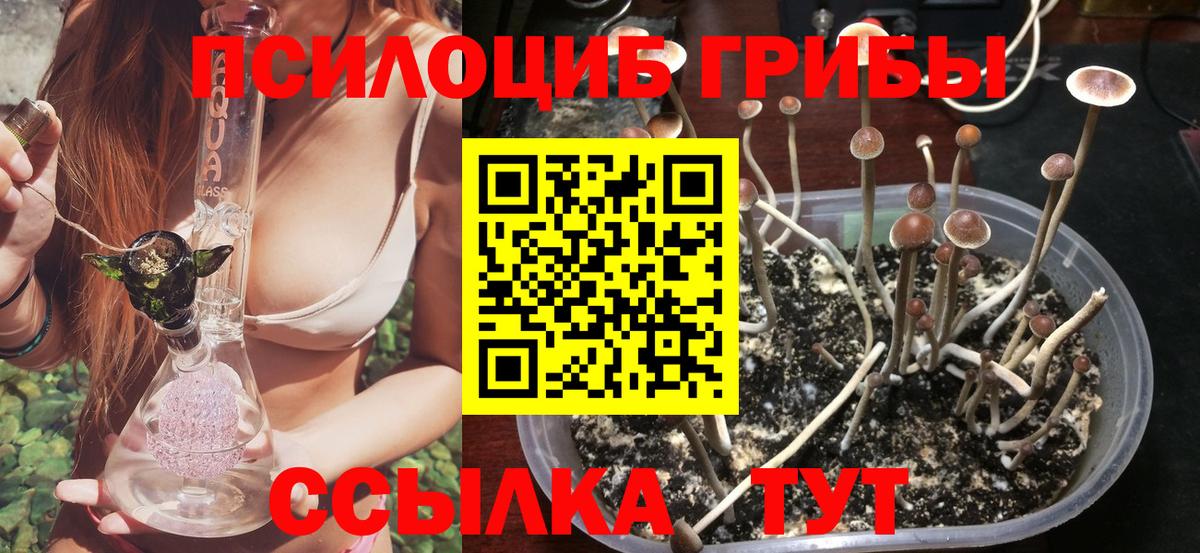 Галлюциногенные грибы мицелий  Вход с VPN  Железноводск  Псилоцибиновые грибы Magic Shrooms 