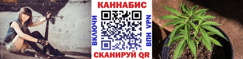 Шишки марихуана марихуана  Железноводск 