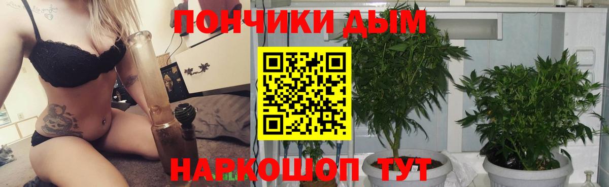 Каннабис семена Железноводск